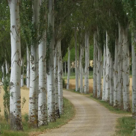 Pastor Country house