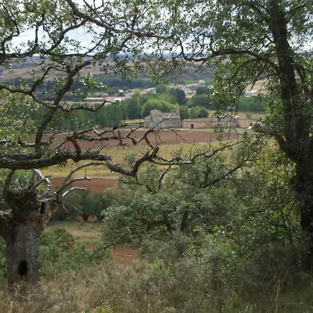 Pastor * Olmos de Ojeda