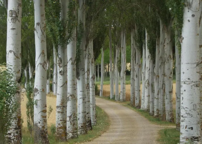 Pastor Casa di campagna