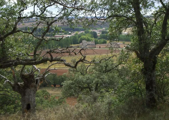 Pastor * Olmos de Ojeda